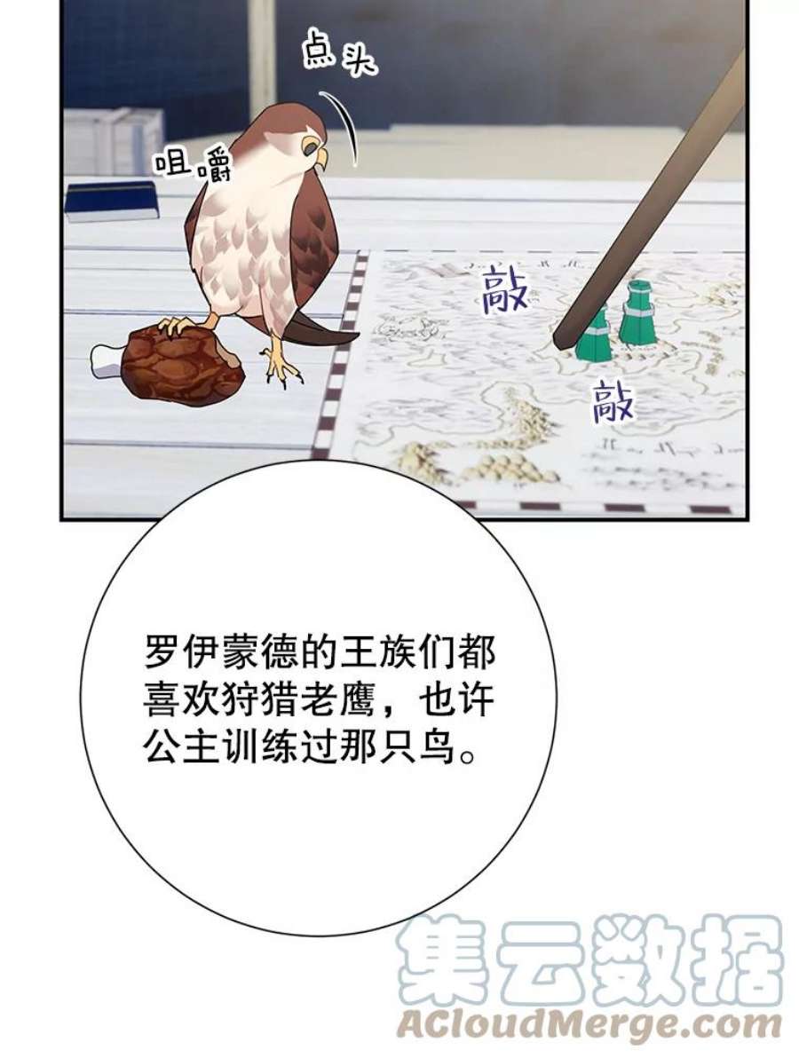 传令鸟公主殿下50.奇怪的公主