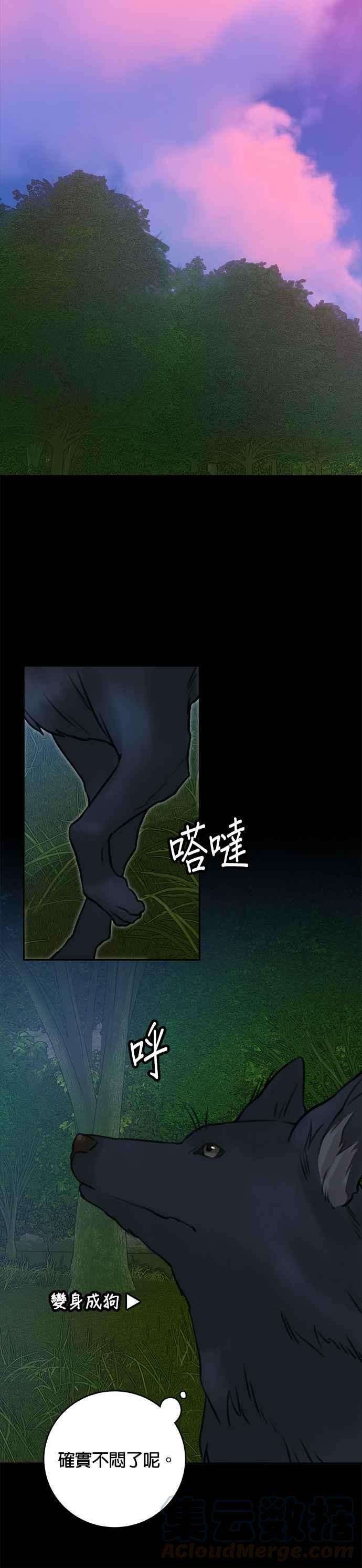 魔女新婚日记12话
