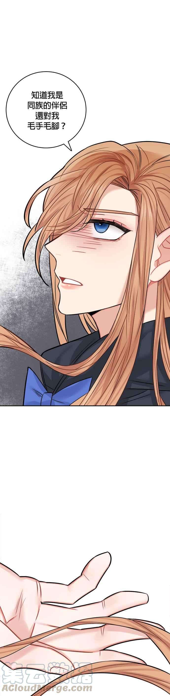 魔女新婚日记38话