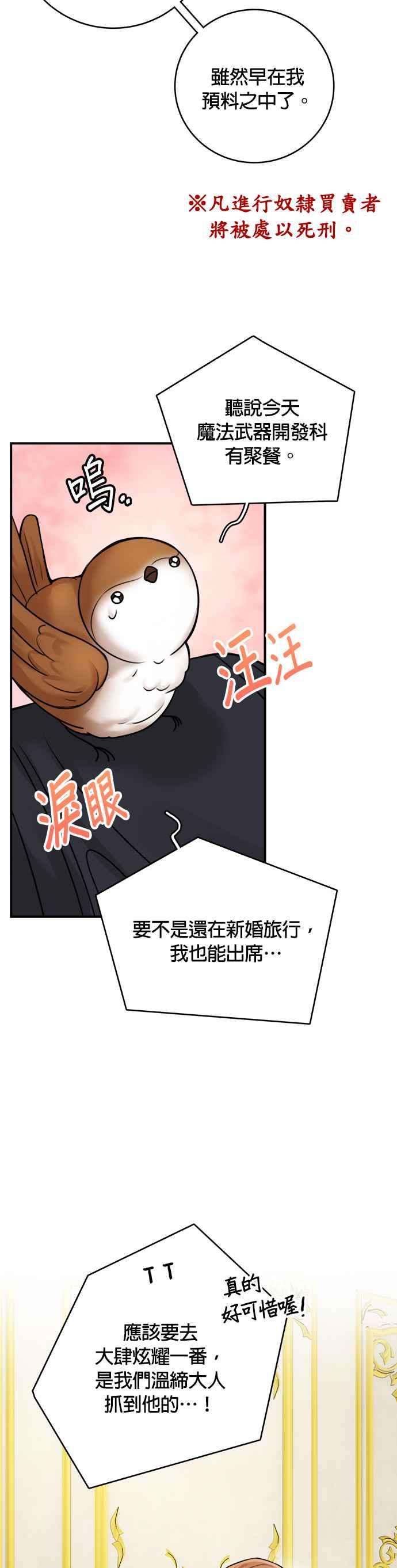 魔女新婚日记48话