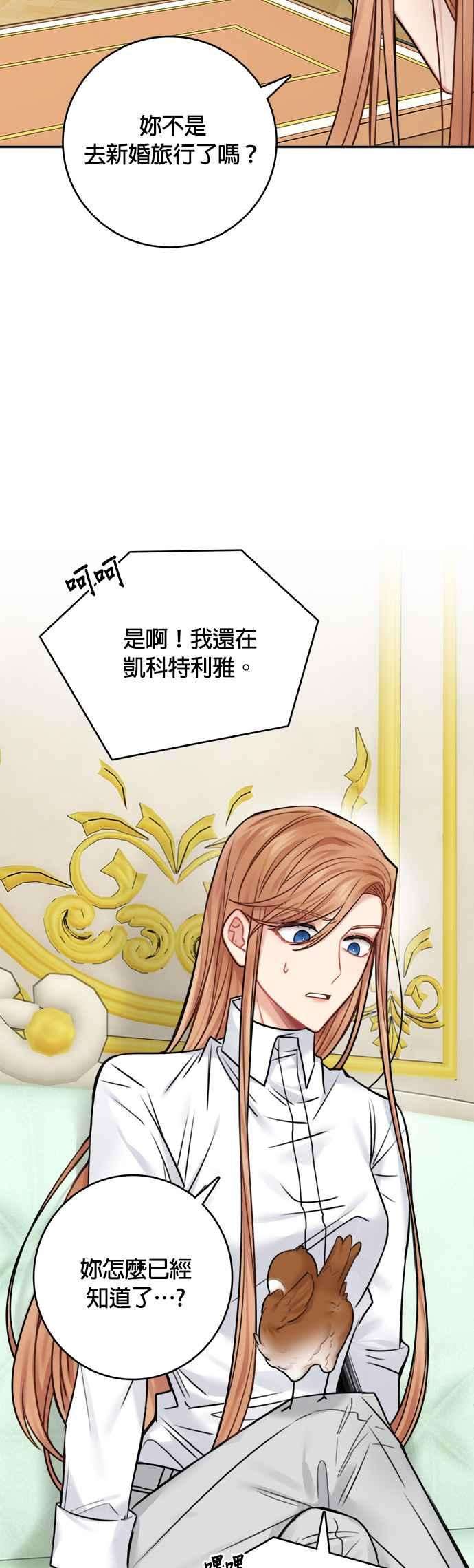 魔女新婚日记48话