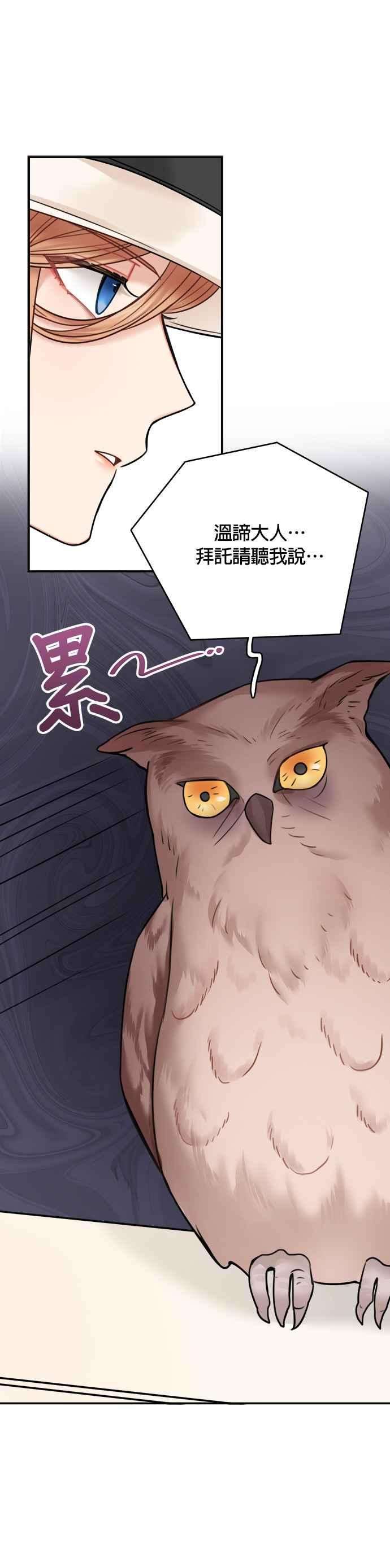 魔女新婚日记49话