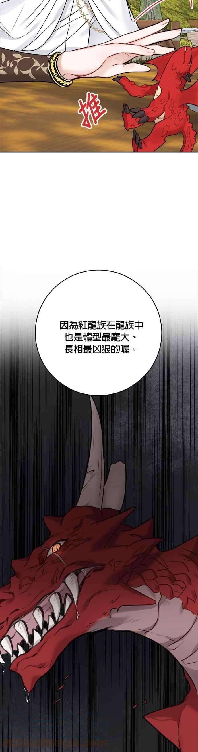 魔女新婚日记52话