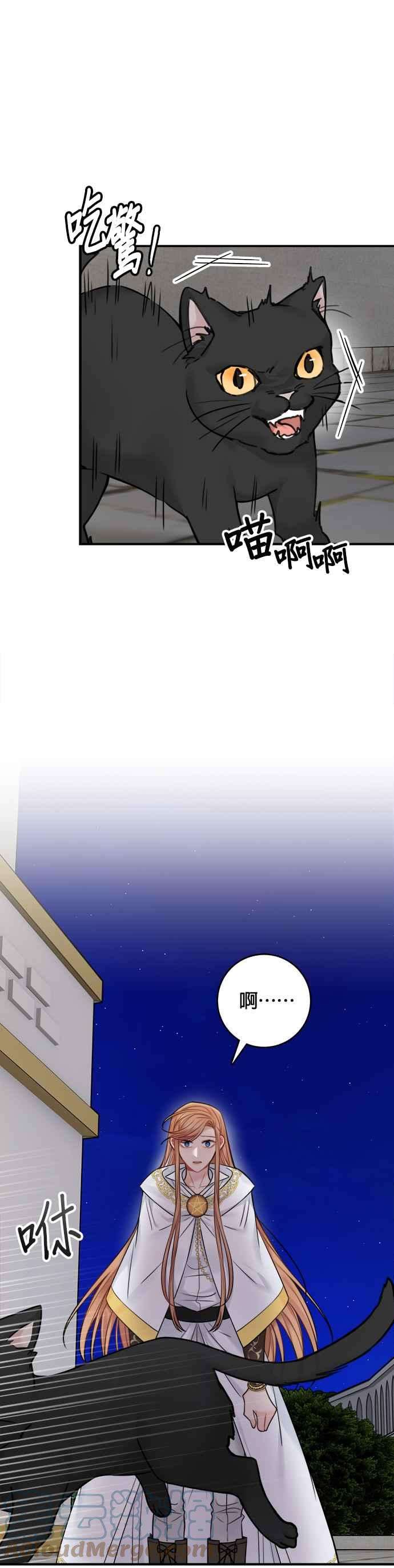 魔女新婚日记55话