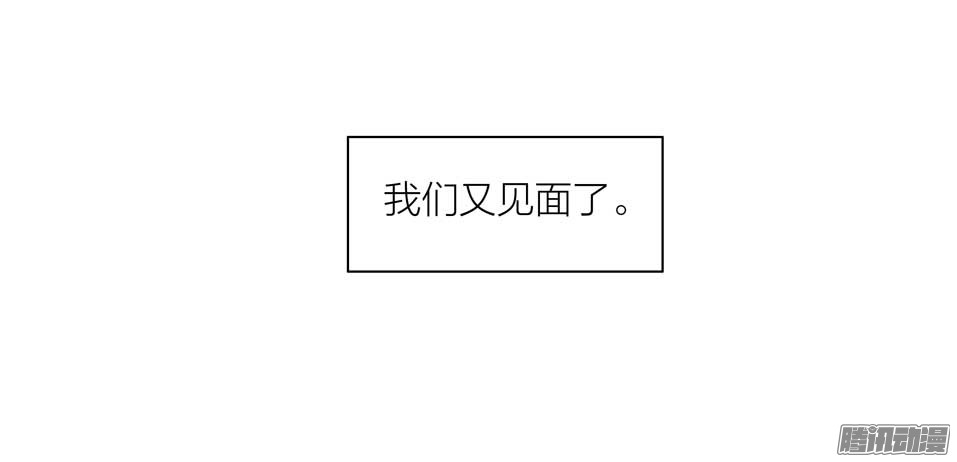 19天又见面了
