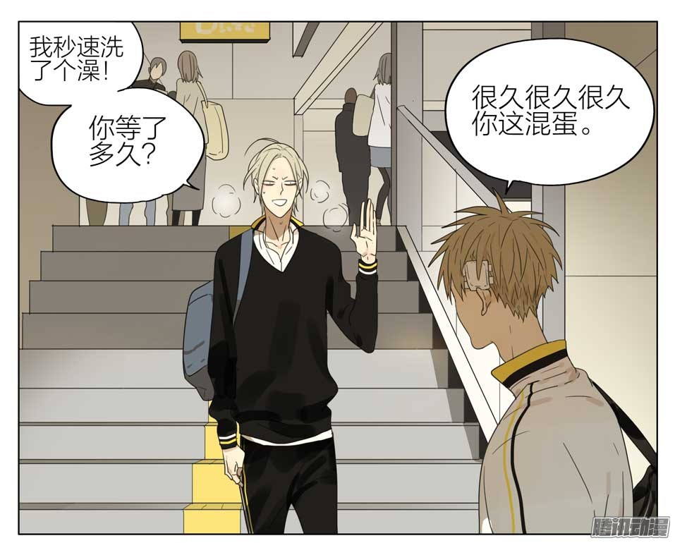 19天又见面了