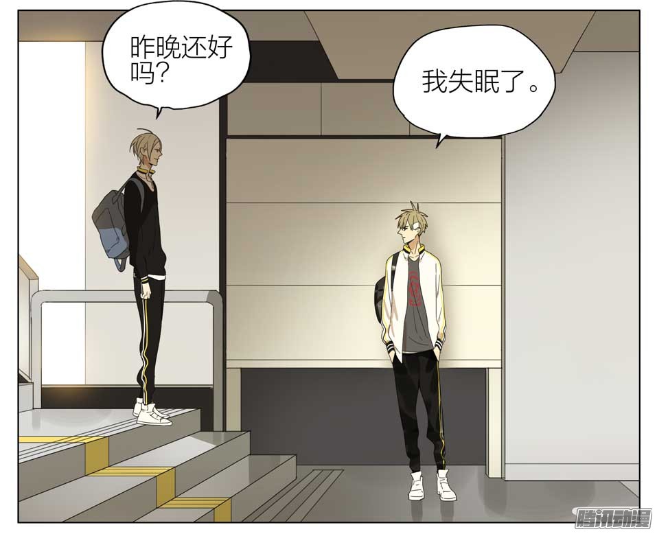 19天又见面了
