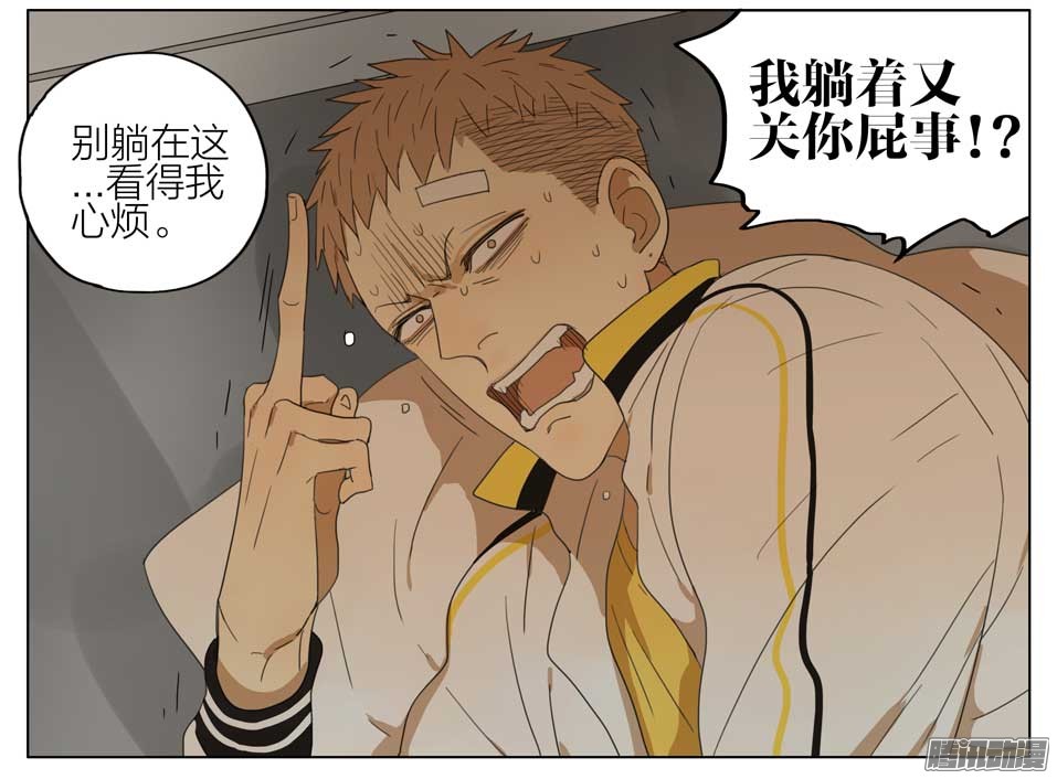 19天以后听我的