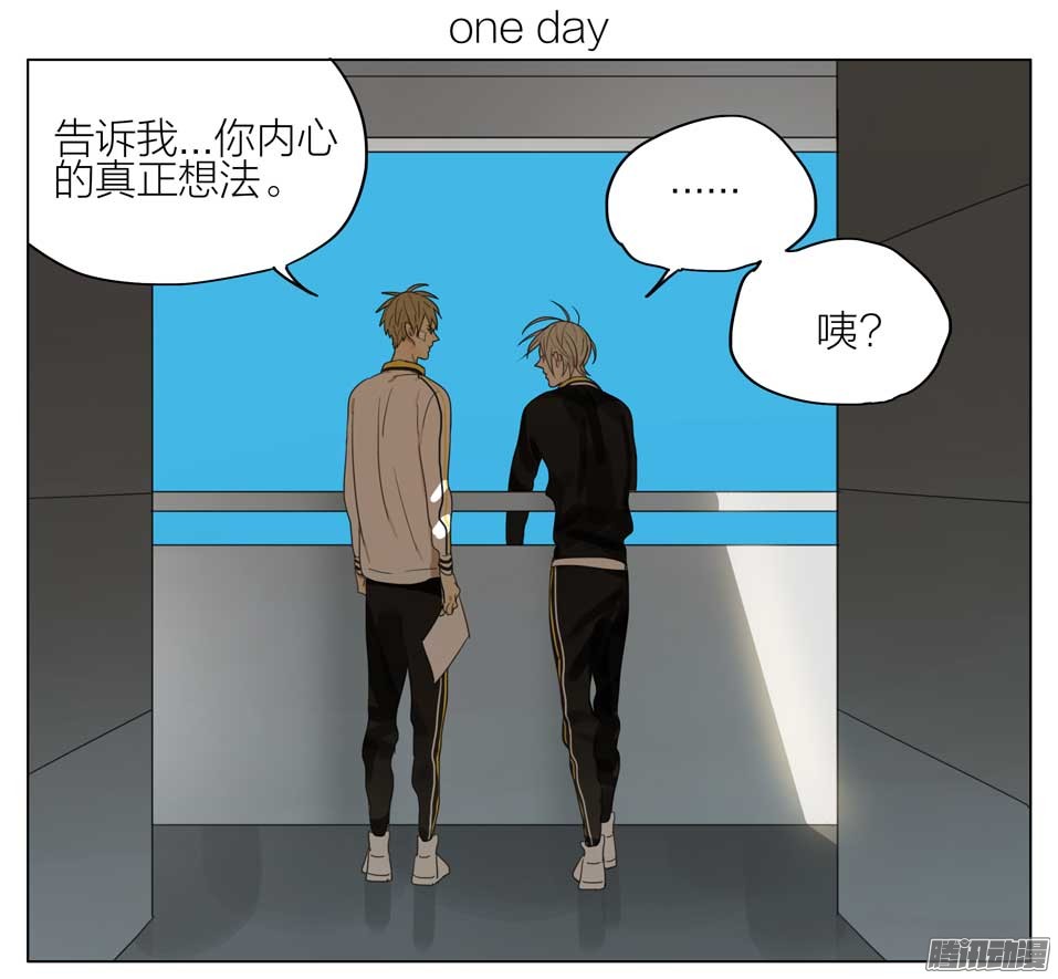 19天真正的想法
