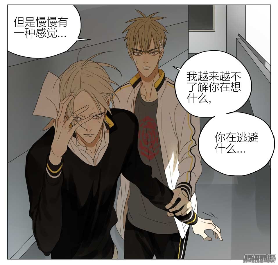 19天真正的想法