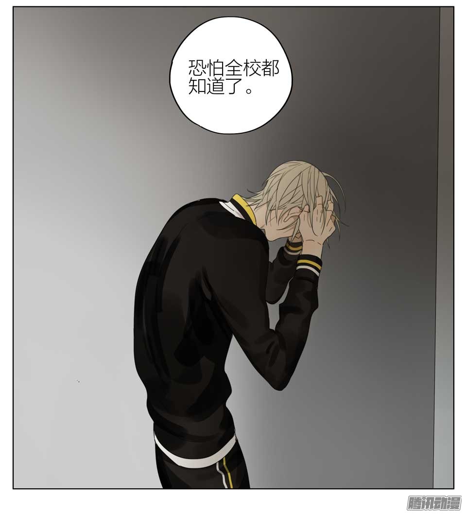 19天情书