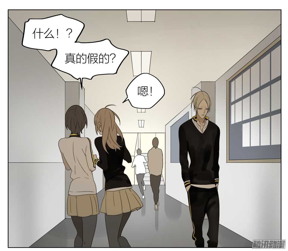 19天情书