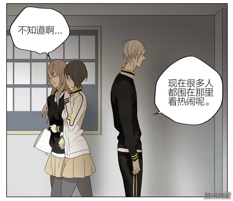 19天情书