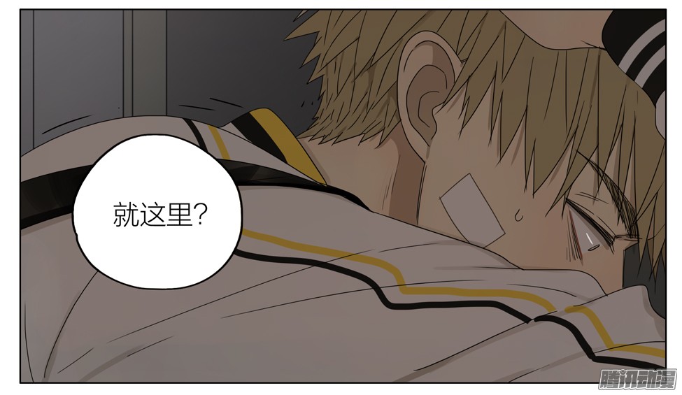 19天谢谢你