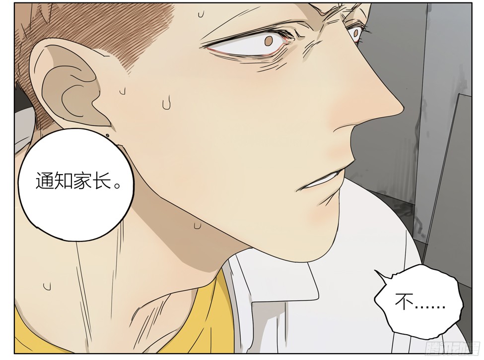 19天不承认