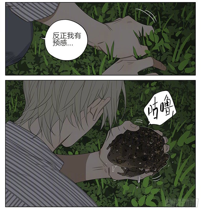 19天快弄出去