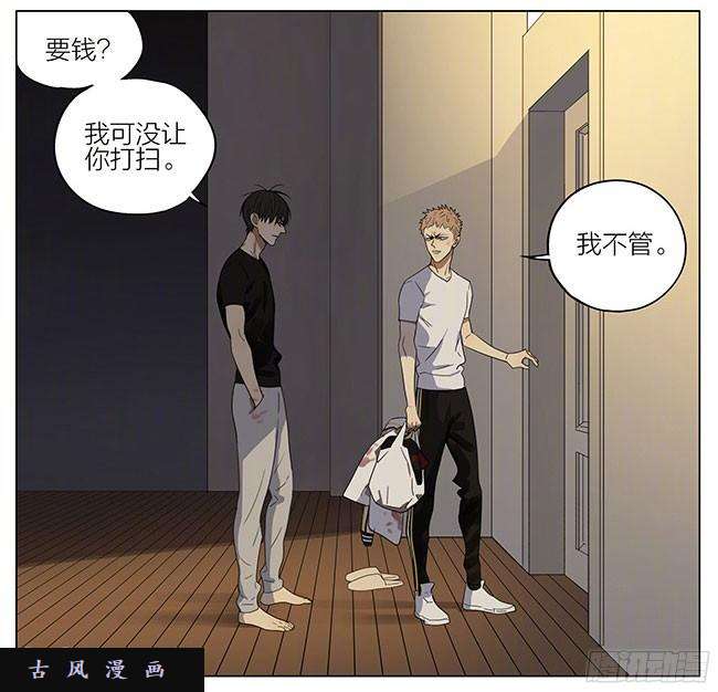 19天双倍