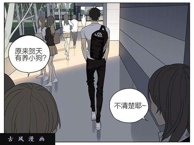 19天我遇到个神经病