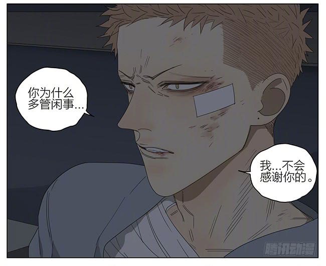 19天条件