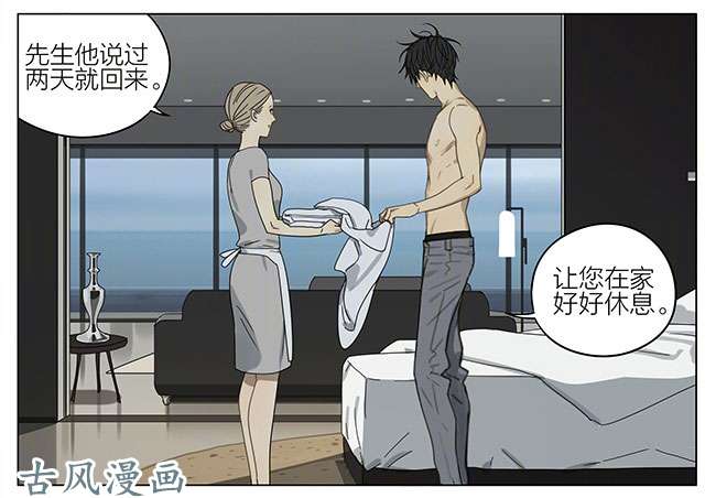 19天家