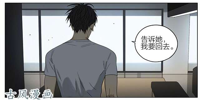19天家