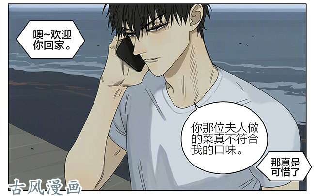 19天家