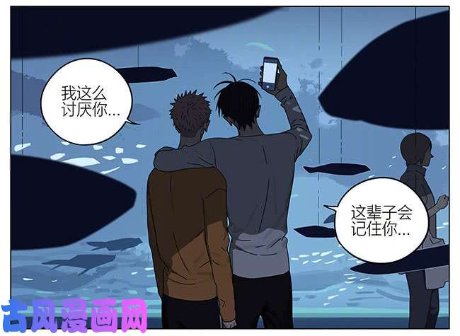 19天海洋馆