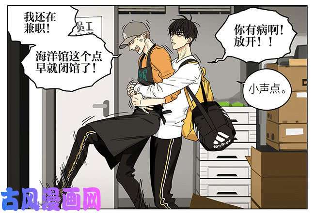 19天海洋馆