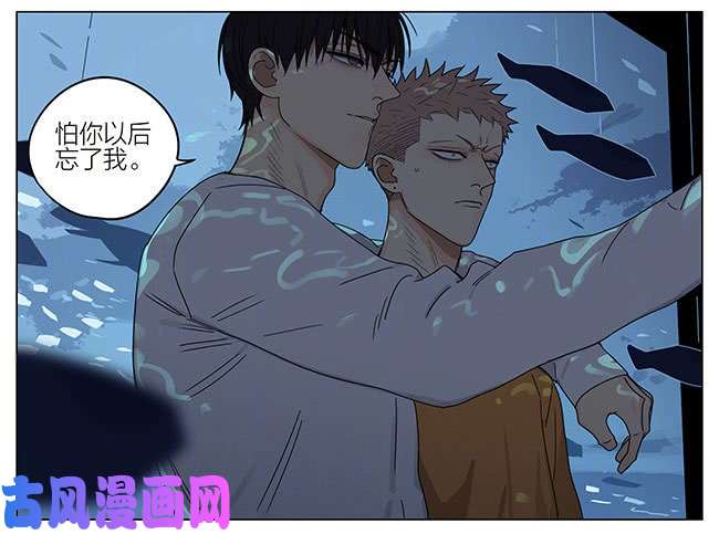 19天海洋馆