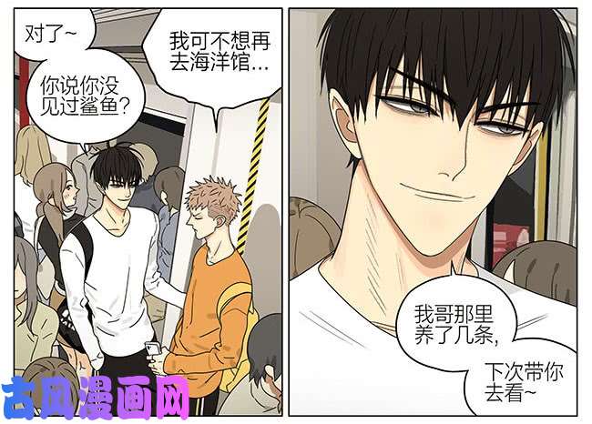 19天话程