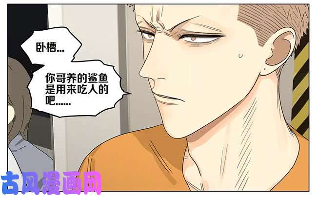 19天话程