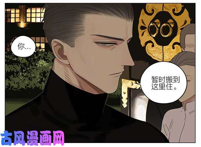 19天夜幕