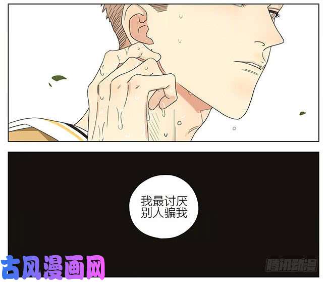 19天两年前