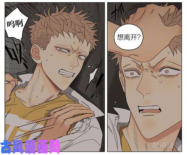 19天两年前