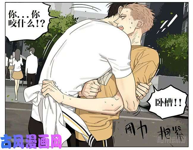 19天我才不怕