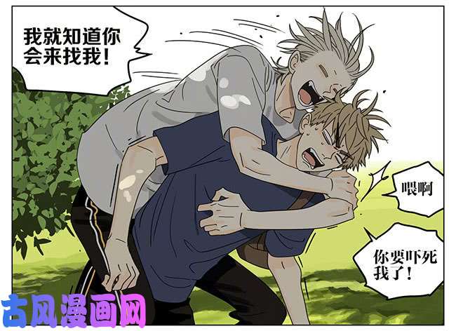 19天好大的家
