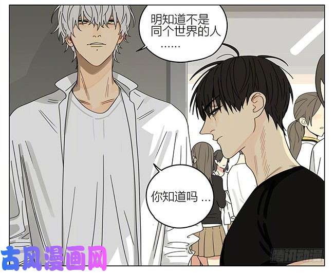 19天蛇立