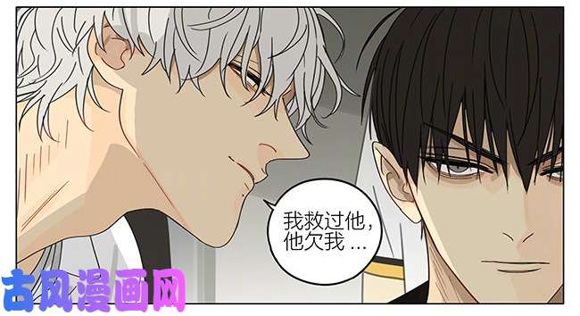 19天蛇立