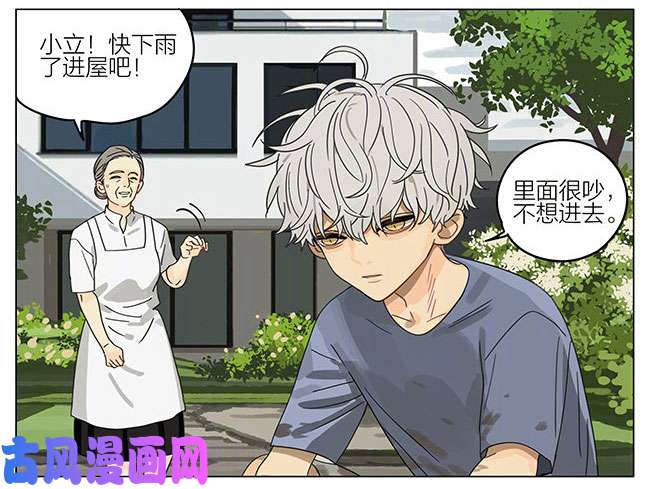 19天蛇立
