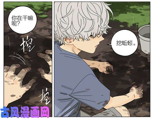 19天蛇立