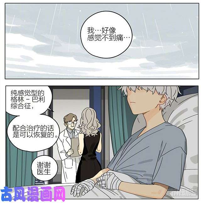 19天蛇立