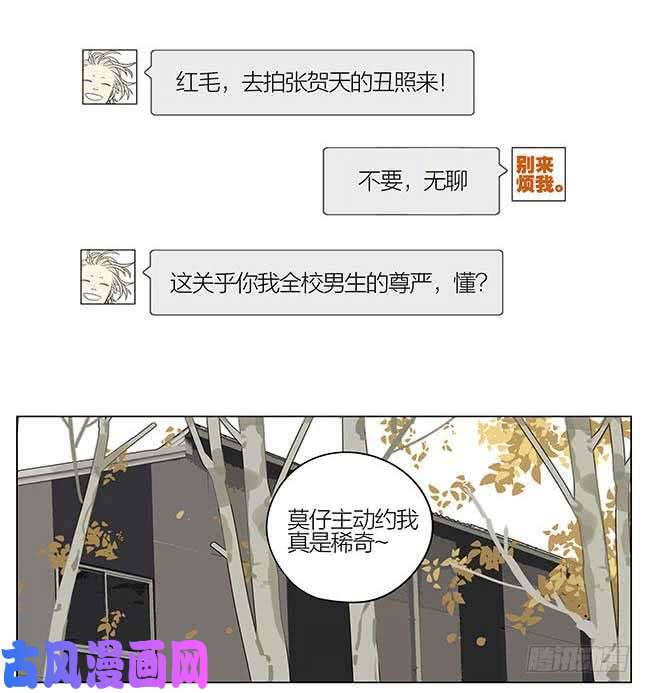 19天校草榜