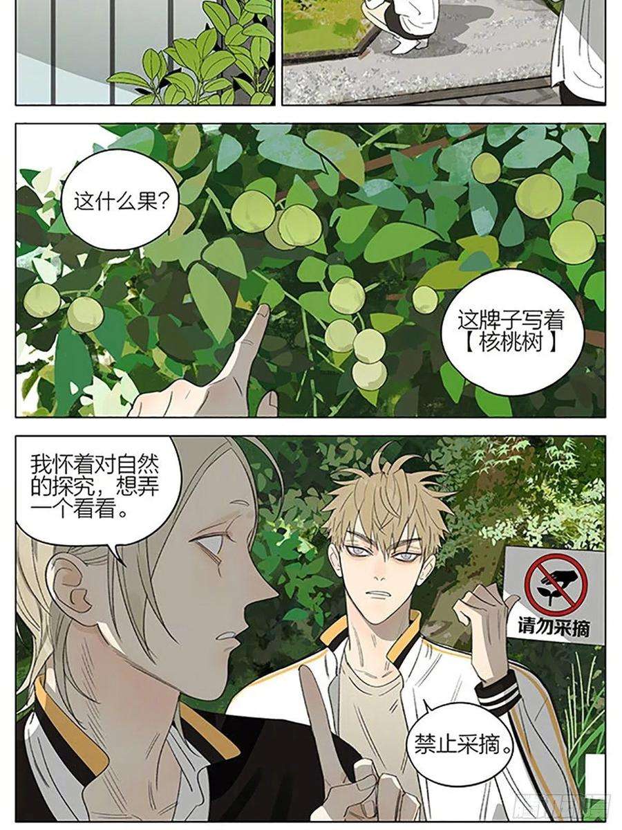 19天植物园