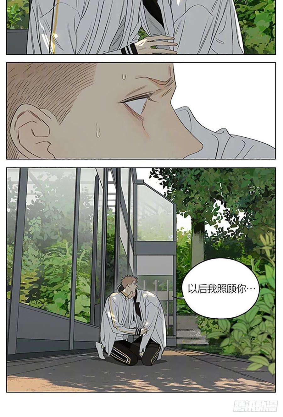 19天植物园