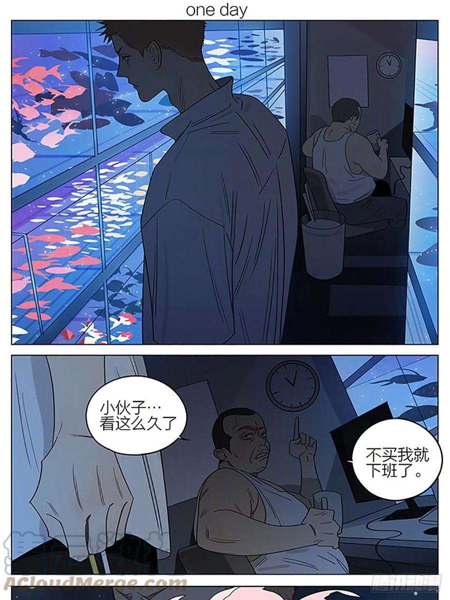 19天金鱼