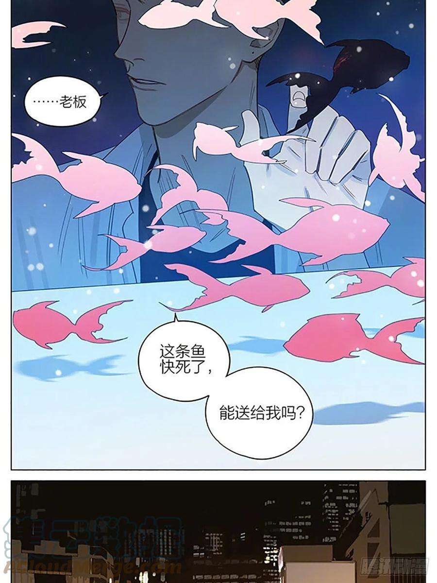 19天金鱼