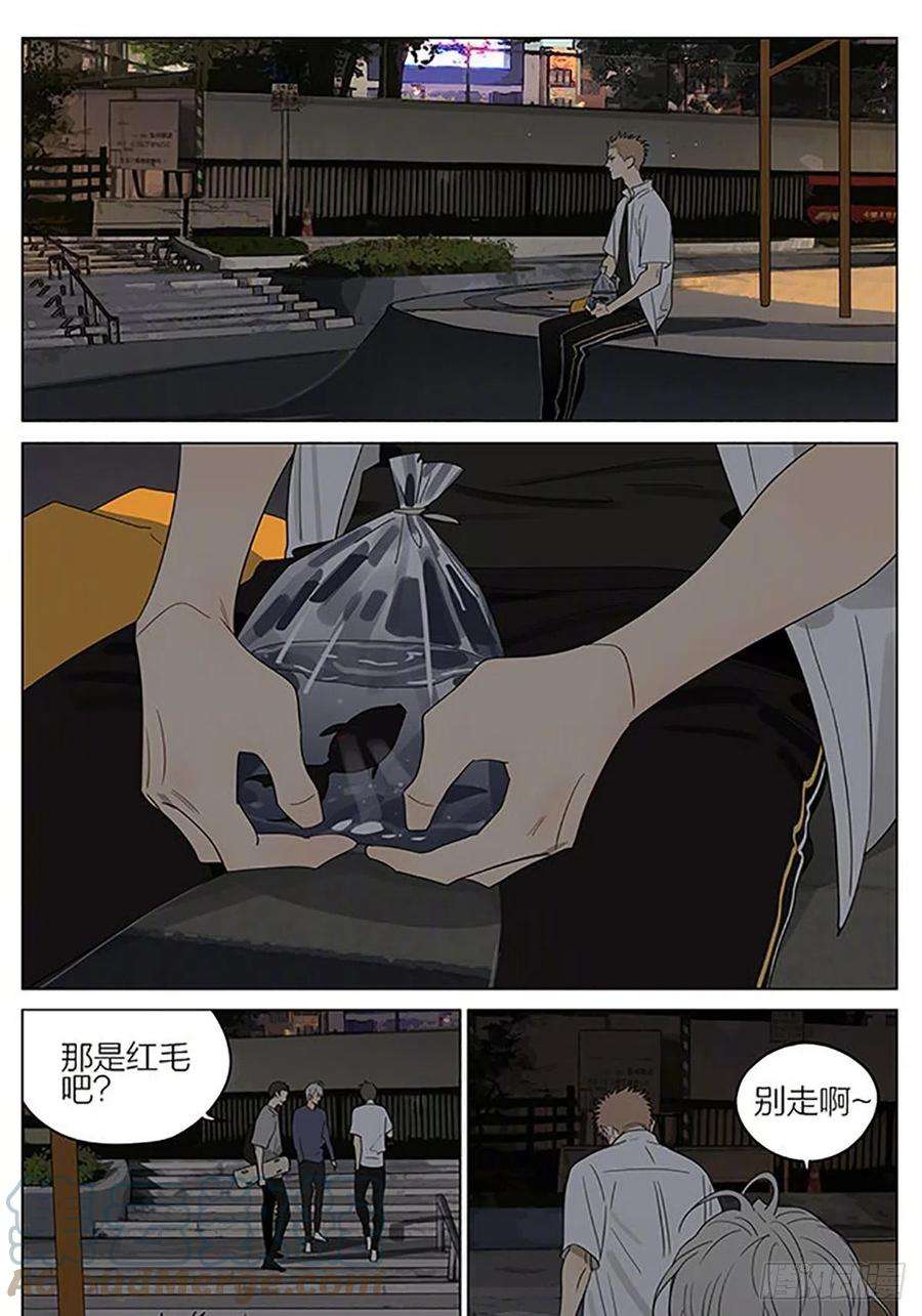 19天金鱼
