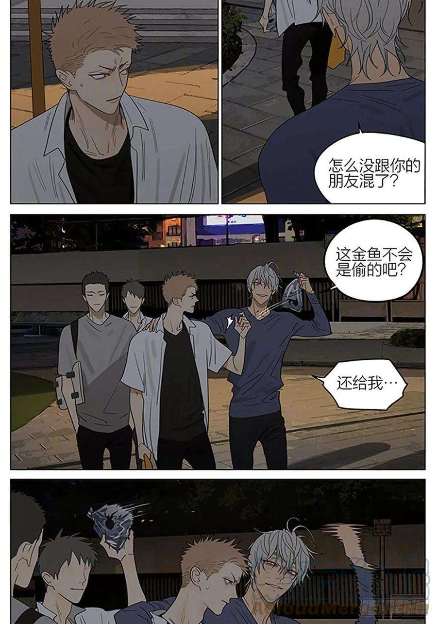 19天金鱼