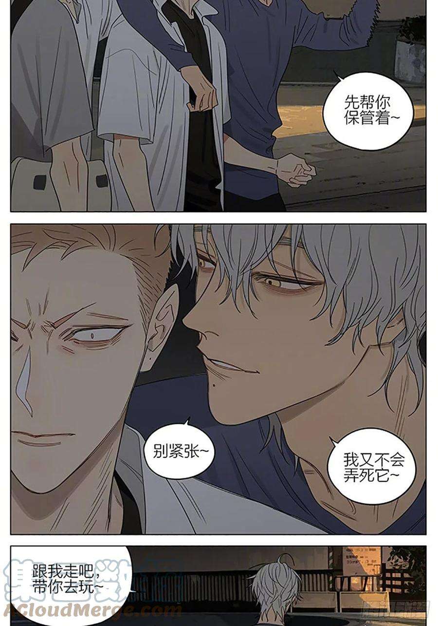 19天金鱼
