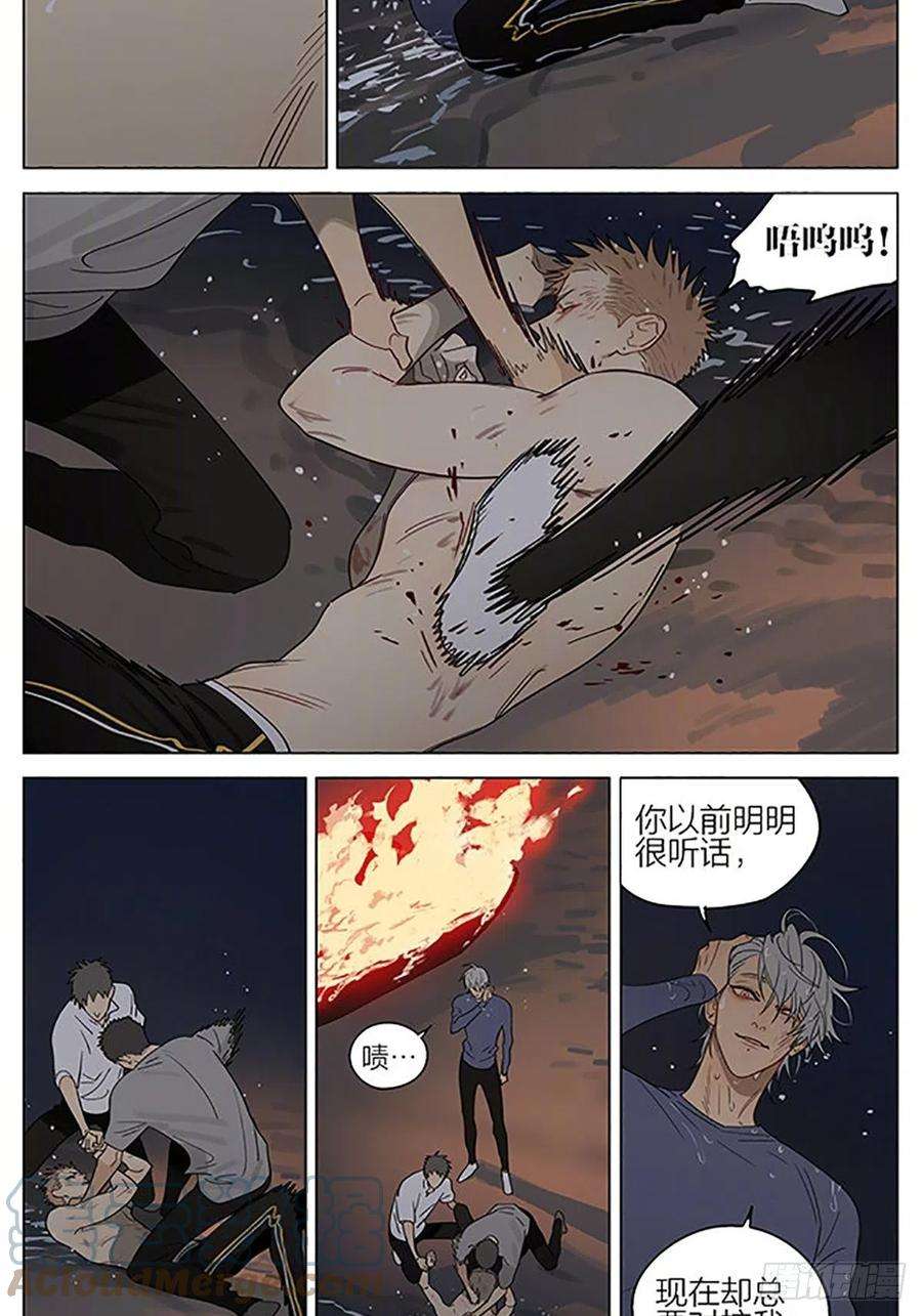 19天同类
